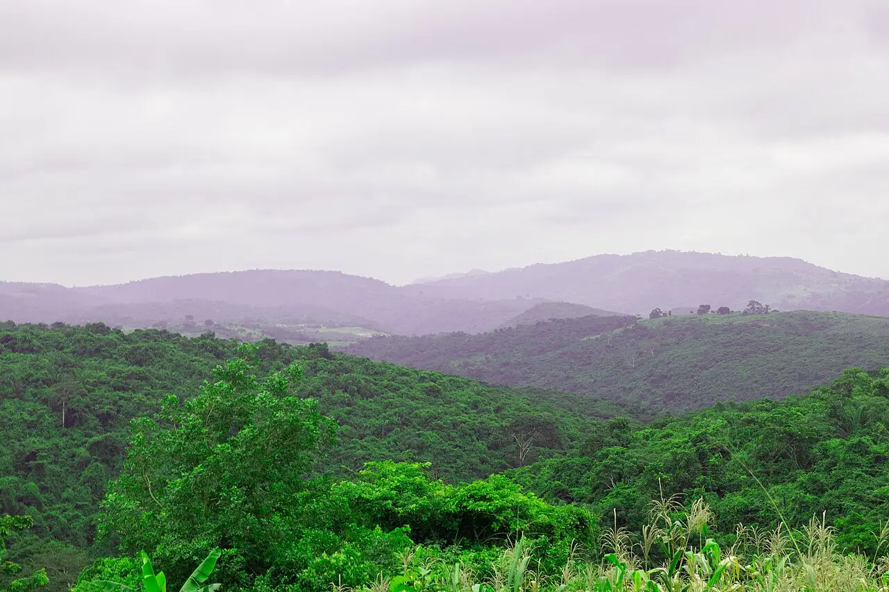 Collines couvertes de végétation verte à Aburi, dans la région orientale du Ghana, sous un ciel nuageux, avec du feuillage au premier plan.