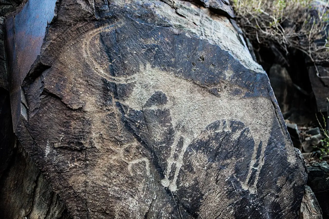 Petróglifo gravado em uma rocha escura em Tamgaly, com contornos claros de figuras gravadas visíveis sobre a superfície da pedra.