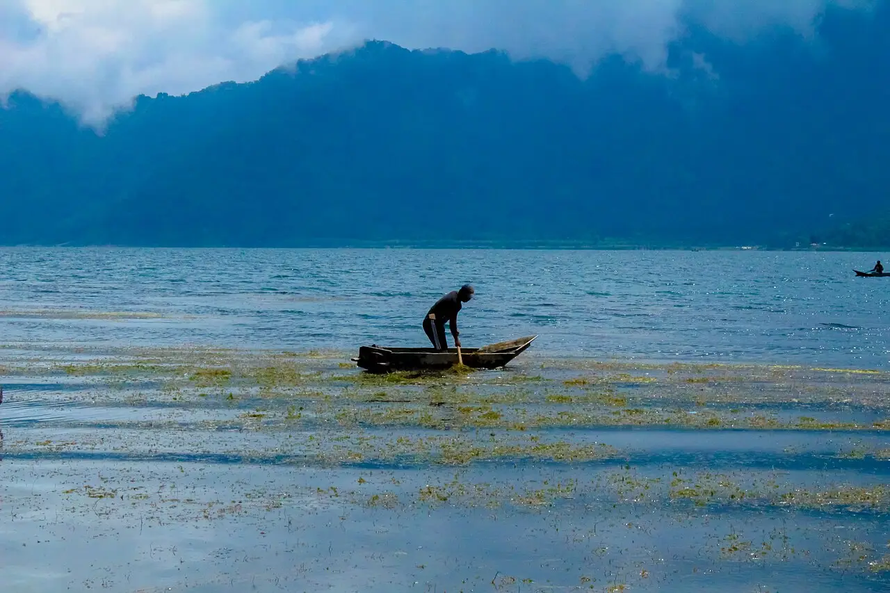 Pescador de pé em uma canoa no Lago de Atitlán, com plantas aquáticas na superfície e montanhas cobertas de nuvens ao fundo.