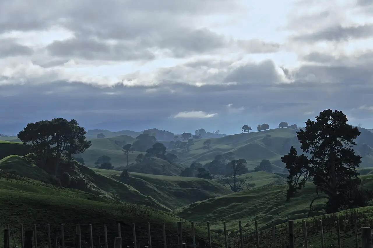 Colinas onduladas de pasto perto de Matamata, com cerca de madeira em primeiro plano, árvores esparsas e nuvens escuras no céu.