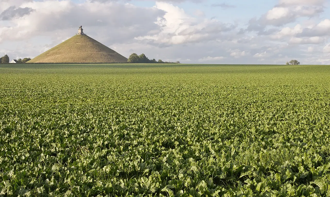 Butte du Lion, colina artificial cônica com um monumento no topo, vista sobre um campo cultivado verde perto de Waterloo.