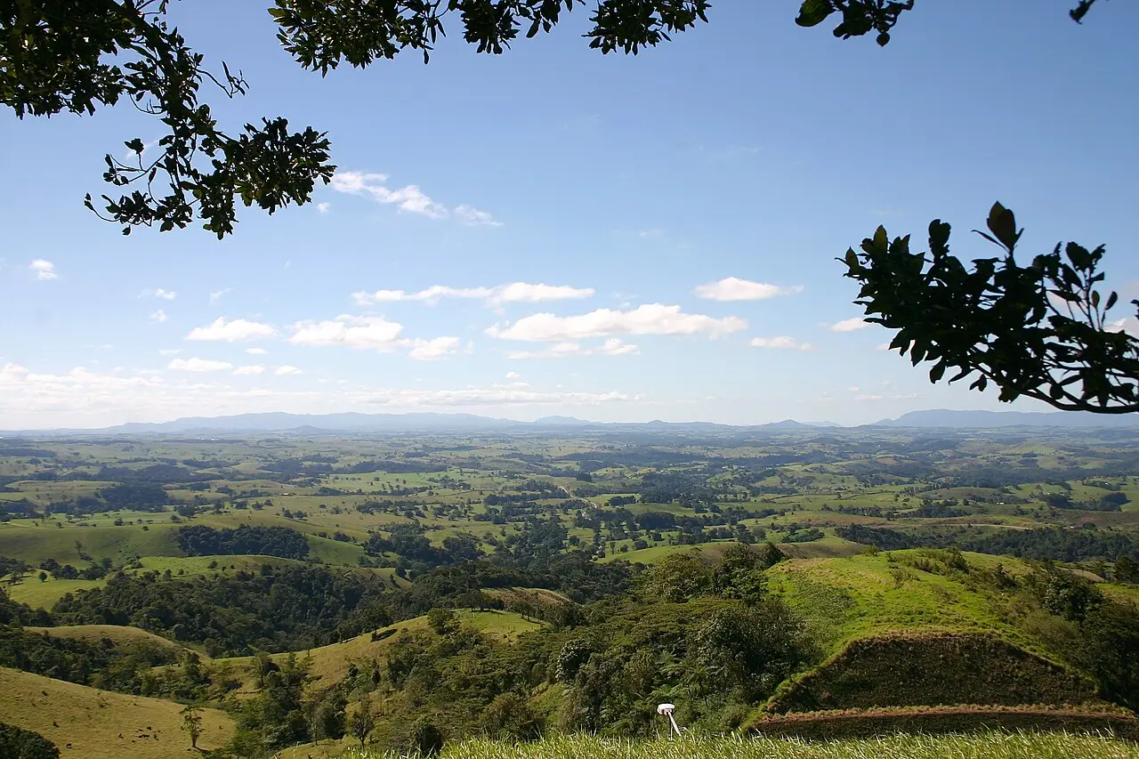 Vista do mirante McHugh nas Atherton Tablelands, com colinas verdes de pasto e mata até o horizonte e galhos em primeiro plano.