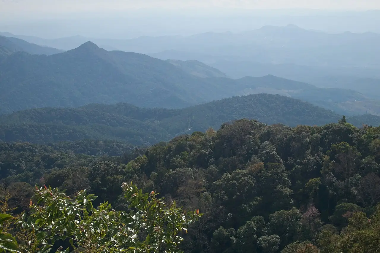 Cristas cobertas de mata, uma atrás da outra, azulando até o horizonte.