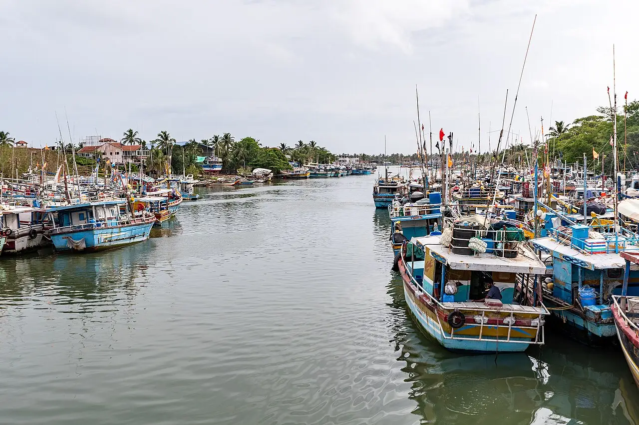 Barcos de pesca coloridos amarrados dos dois lados de um canal na laguna de Negombo, com coqueiros e casas na margem ao fundo.