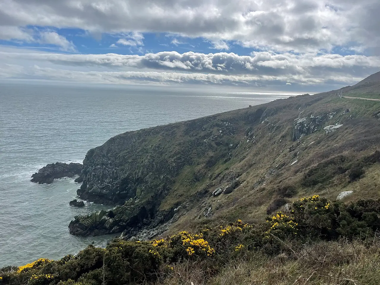Falésias cobertas de mato junto ao mar em Howth, com tojo de flores amarelas em primeiro plano, uma trilha ao alto e o mar aberto sob nuvens.