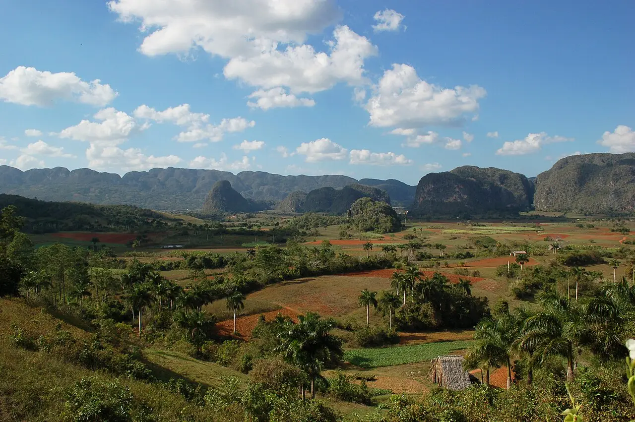 Vale de Viñales com campos de terra vermelha, palmeiras reais e um galpão de palha, e morros de topo arredondado ao fundo sob nuvens.