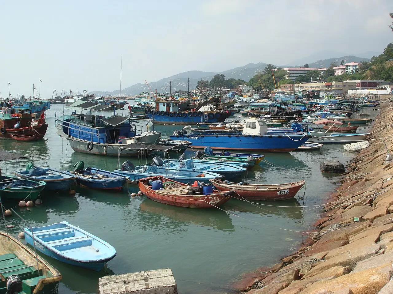 Barcos de pesca e lanchas de casco azul, verde e vermelho amontoados no abrigo do porto de Cheung Chau, com um paredão de pedra à direita.