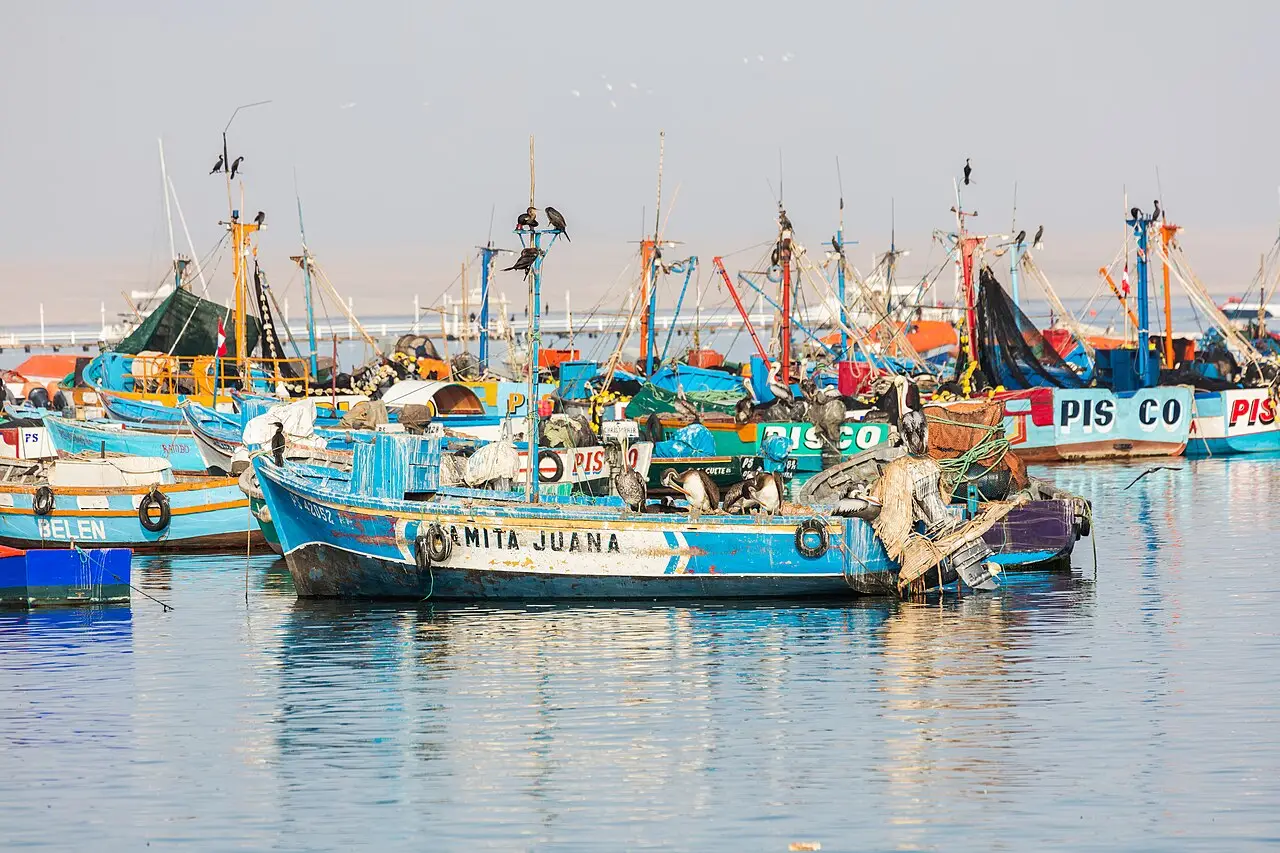 Barcos de pesca de casco azul atracados no porto de Paracas, com cormorões e pelicanos pousados nos mastos e nas embarcações, e água calma em primeiro plano.