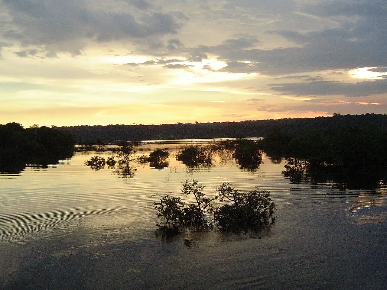 Pôr do sol sobre águas calmas do rio, com árvores parcialmente submersas em primeiro plano e a linha escura da mata na outra margem.
