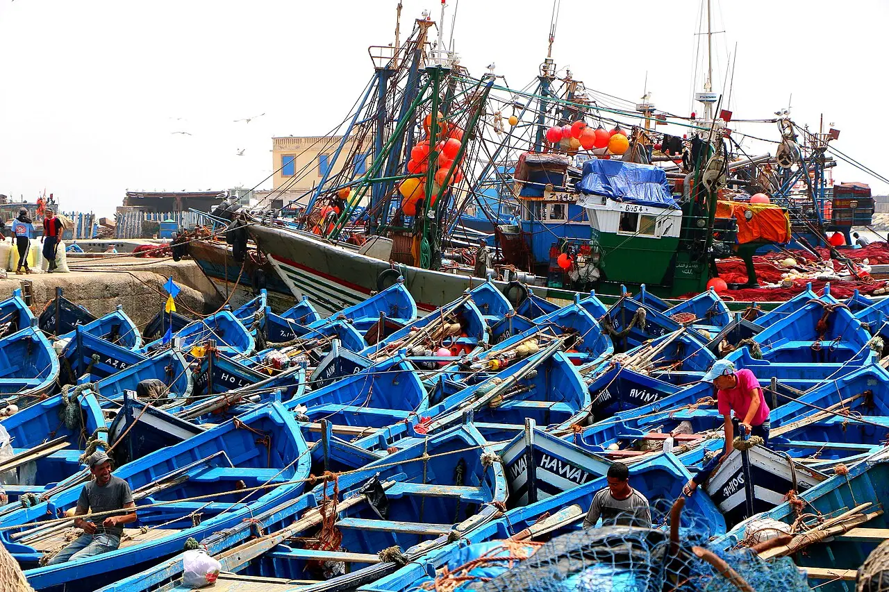 Barcos de pesca de madeira azuis amontoados no porto de Essaouira, com traineiras maiores atrás, redes, boias laranja e pescadores a bordo.