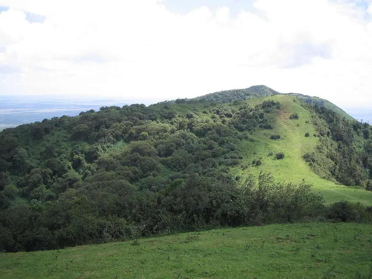 Cume verde das colinas Ngong, com mata densa na encosta à esquerda, um trecho de capim com uma trilha à direita e a planície ao fundo sob nuvens.