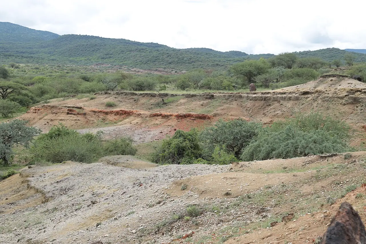 Terreno de barrancos de terra e cascalho, com faixas avermelhadas no solo, arbustos verdes e colinas cobertas de mata ao fundo, no sítio de Olorgesailie.