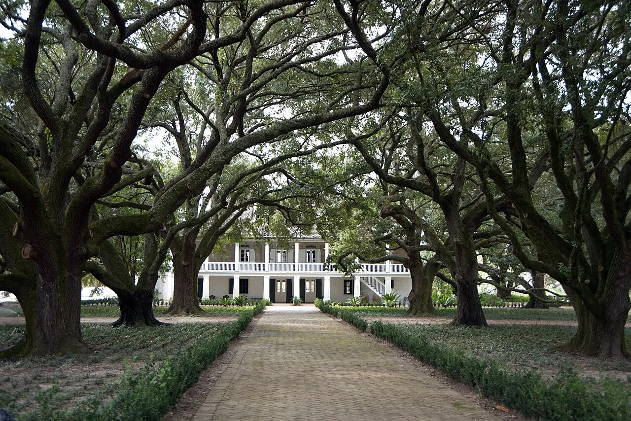 A casa principal da Whitney Plantation, branca, com varanda de dois andares, ao fim de um caminho de tijolos entre carvalhos de galhos largos.