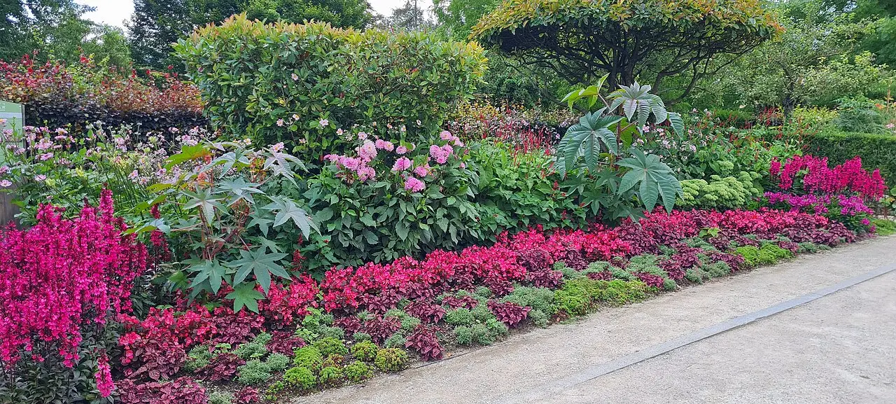Canteiro de flores em tons de rosa e vermelho ao lado de um caminho de cascalho, com folhagem grande e arbustos verdes em volta, em Giverny.