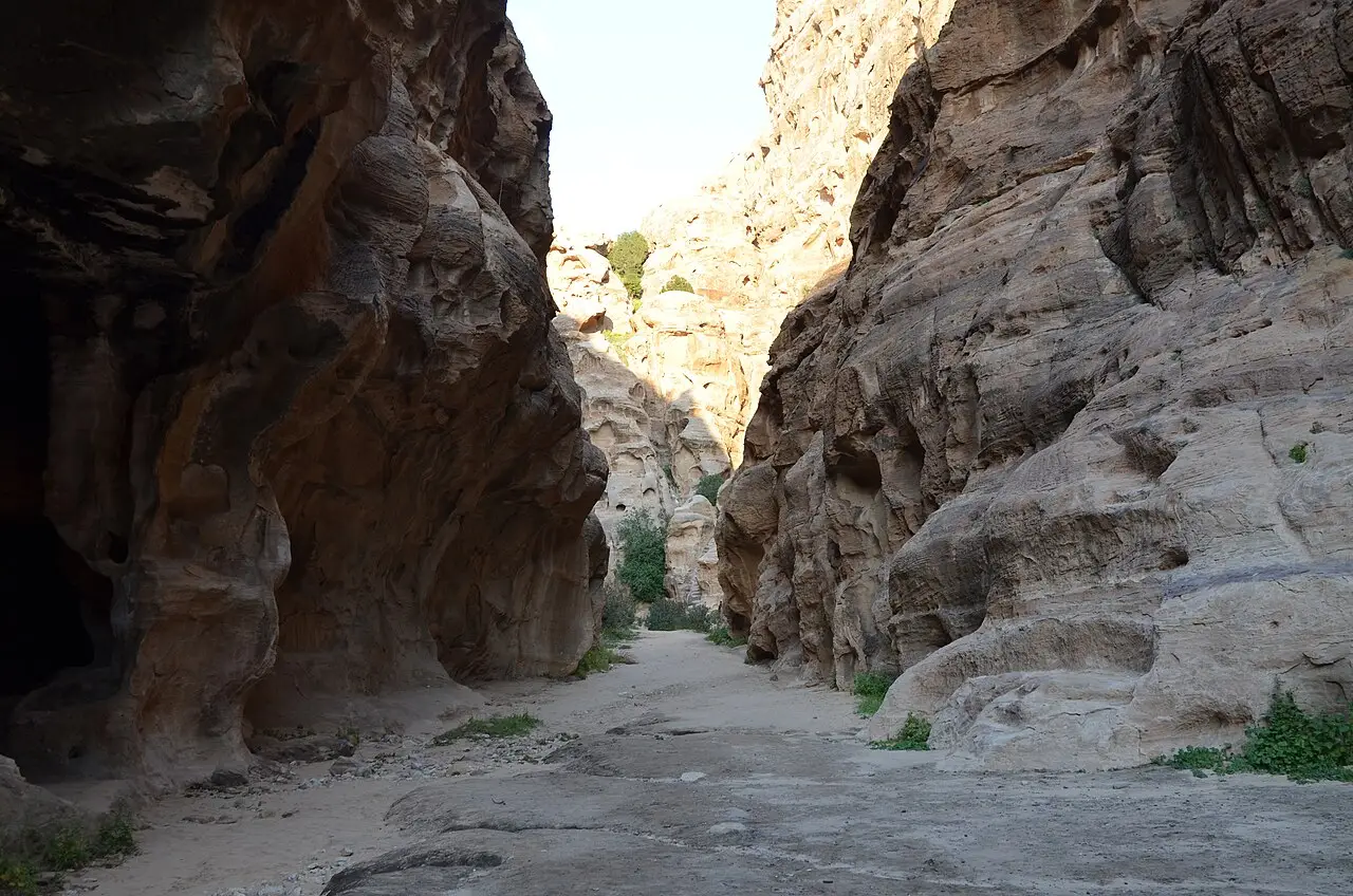 Desfiladeiro estreito de arenito com paredes de rocha alaranjada e clara, chão de areia e pedra e alguns arbustos, em Little Petra.