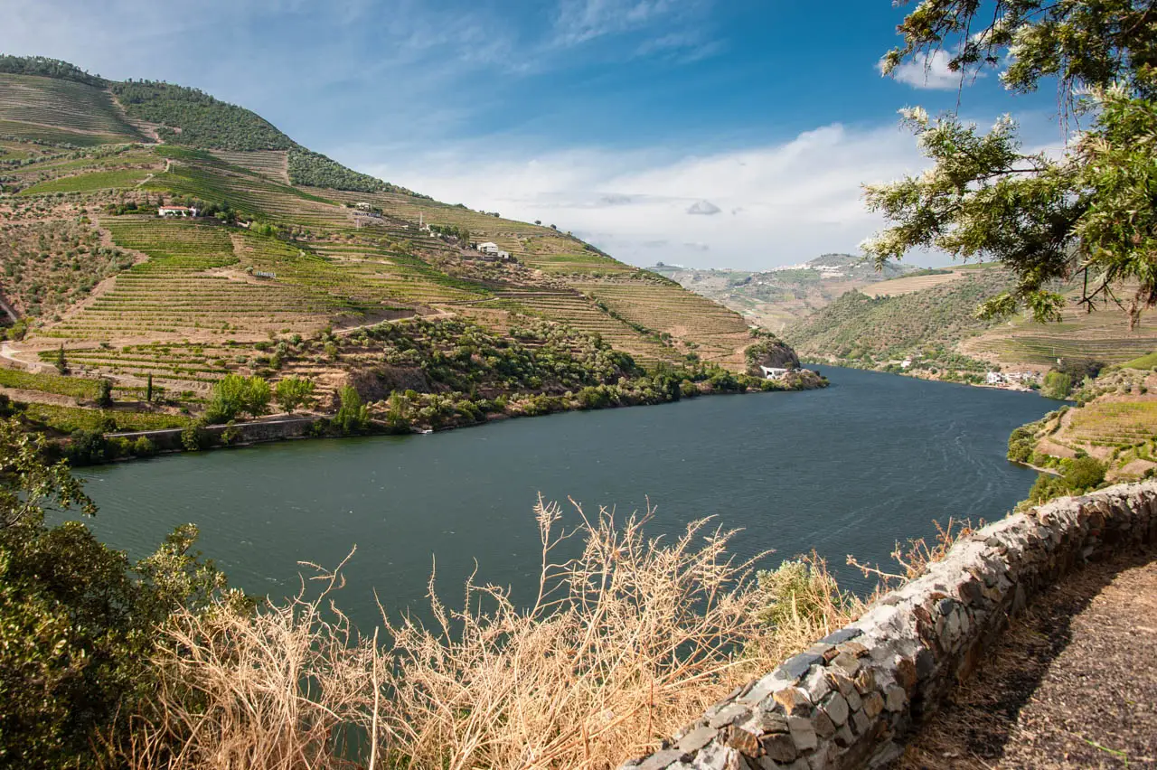 Rio entre encostas de vinha em terraço, com um muro de pedra em primeiro plano.
