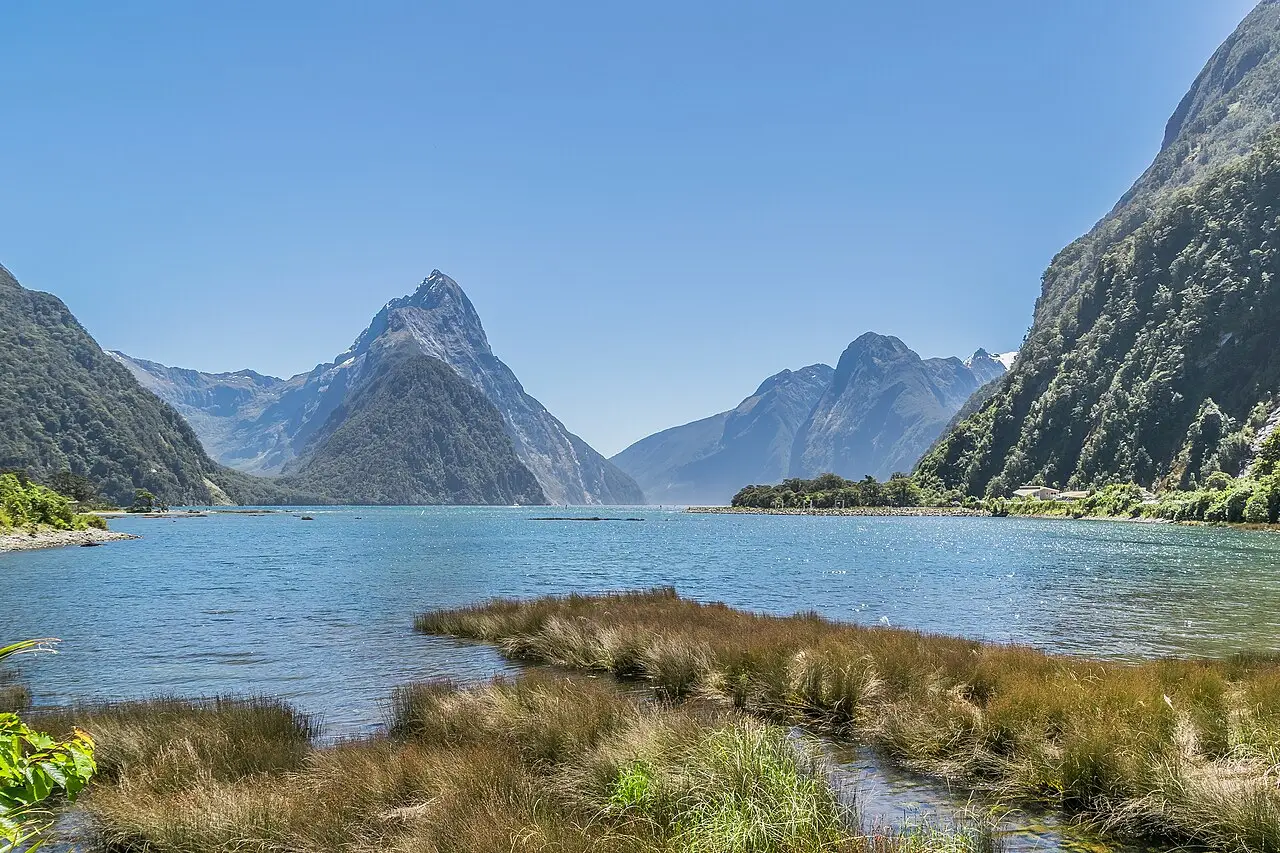 O pico pontiagudo de Mitre Peak sobre as águas azuis de Milford Sound, com encostas de mata dos dois lados e capim em primeiro plano.