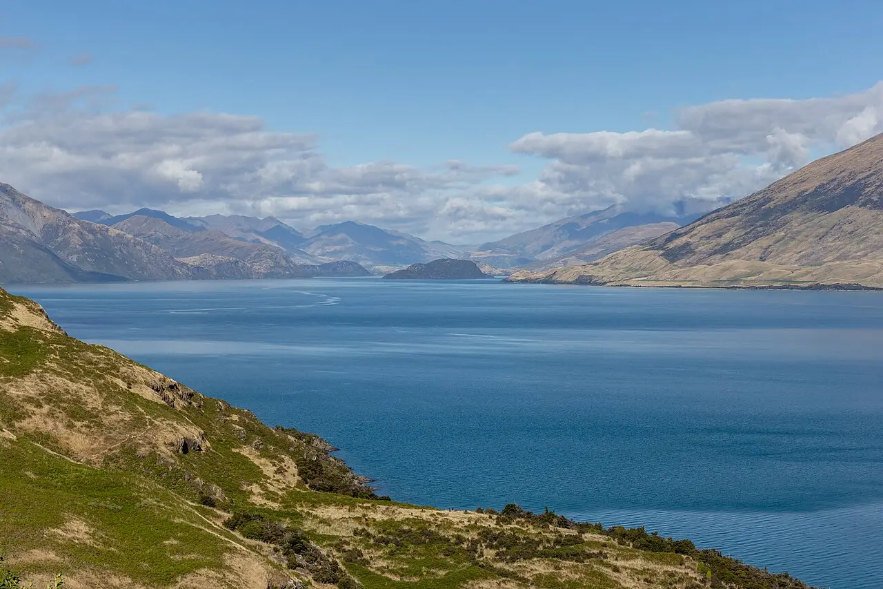 Vista do lago Wanaka, de água azul-escura, com uma encosta de capim e arbustos em primeiro plano e montanhas de tons secos ao fundo.
