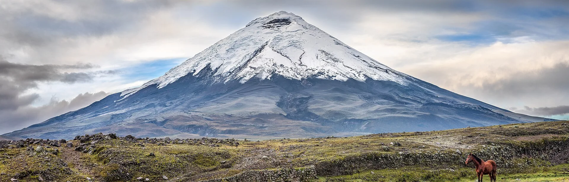 Vulcão com neve e um cavalo no pasto, em primeiro plano.
