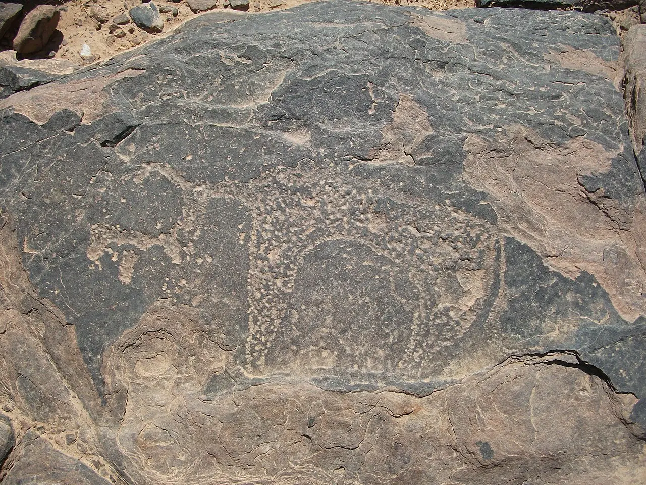 Superfície de rocha escura com linhas gravadas e áreas desgastadas, entre pedras claras em Taouz.