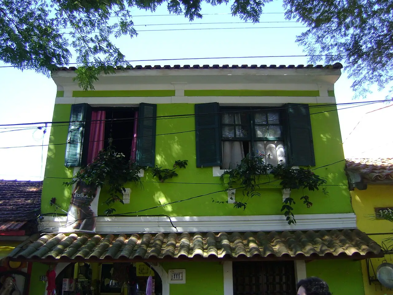 Casa verde de dois andares, com venezianas escuras e plantas nas janelas.