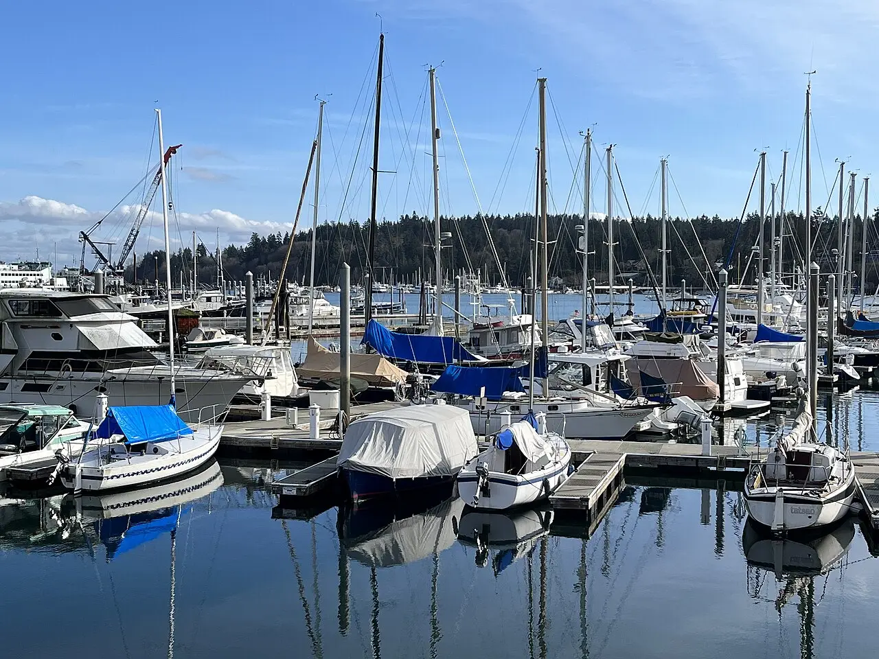 Marina avec des voiliers et des bateaux à moteur amarrés, certains couverts de bâches bleues et grises, une eau calme qui reflète les mâts et une rive de conifères au fond, à Bainbridge Island.