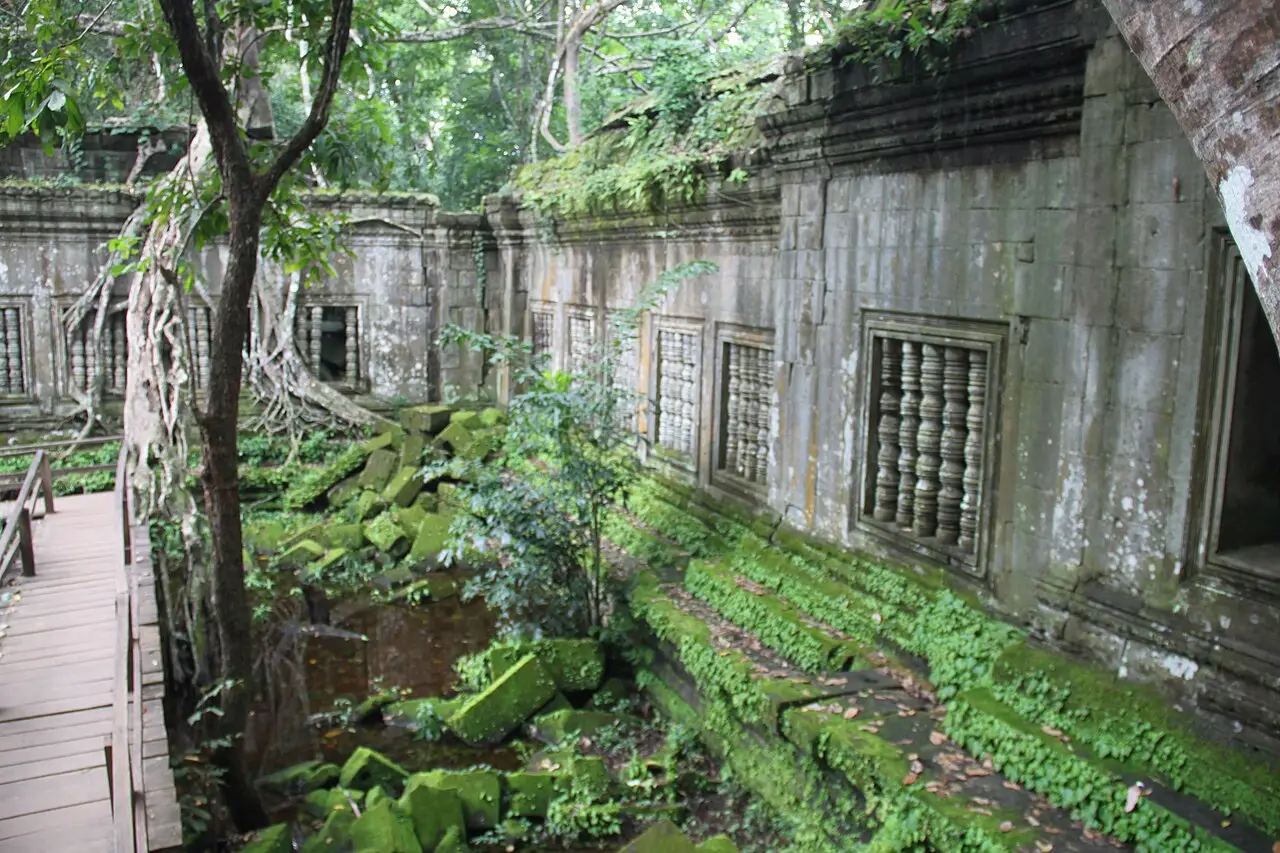 Muro de pedra do templo Beng Mealea, com janelas de balaústres, coberto de musgo e raízes de árvores, degraus tomados de verde e uma passarela de madeira à esquerda.