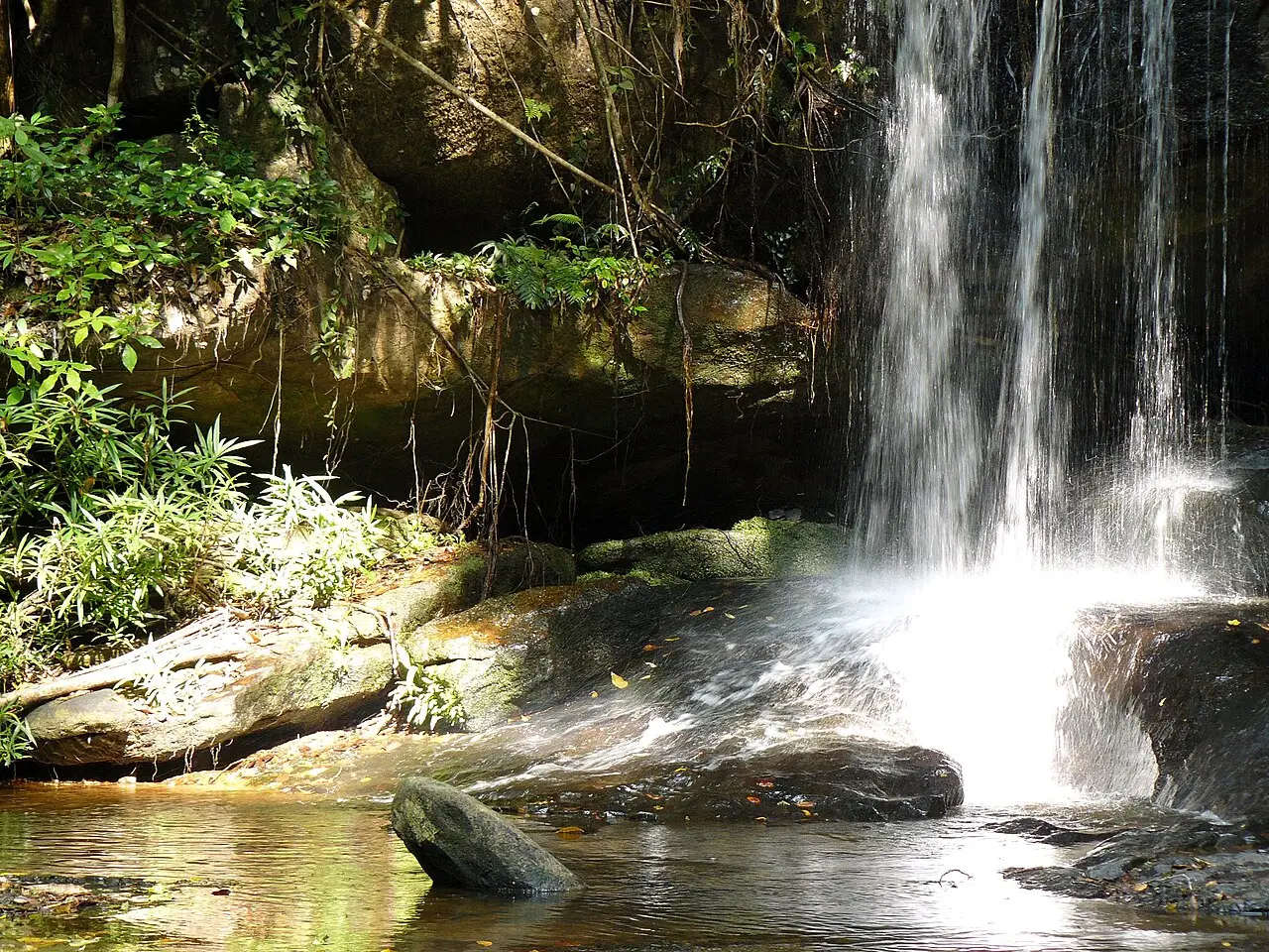 Cachoeira fina caindo sobre rochas escuras em uma piscina rasa, com samambaias e cipós na beira, no Phnom Kulen.