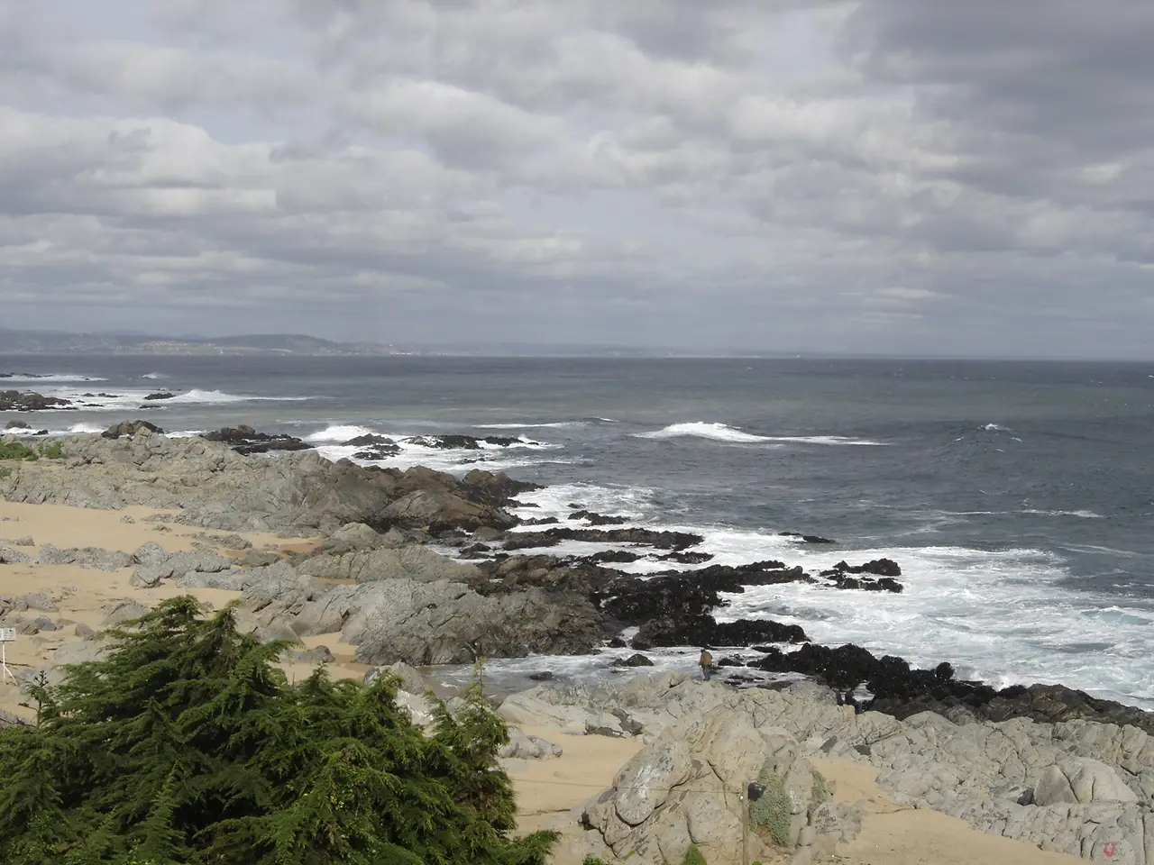 Costa de rochas cinza e escuras com ondas quebrando, uma faixa de areia e um pinheiro em primeiro plano, sob céu carregado de nuvens, em Isla Negra.