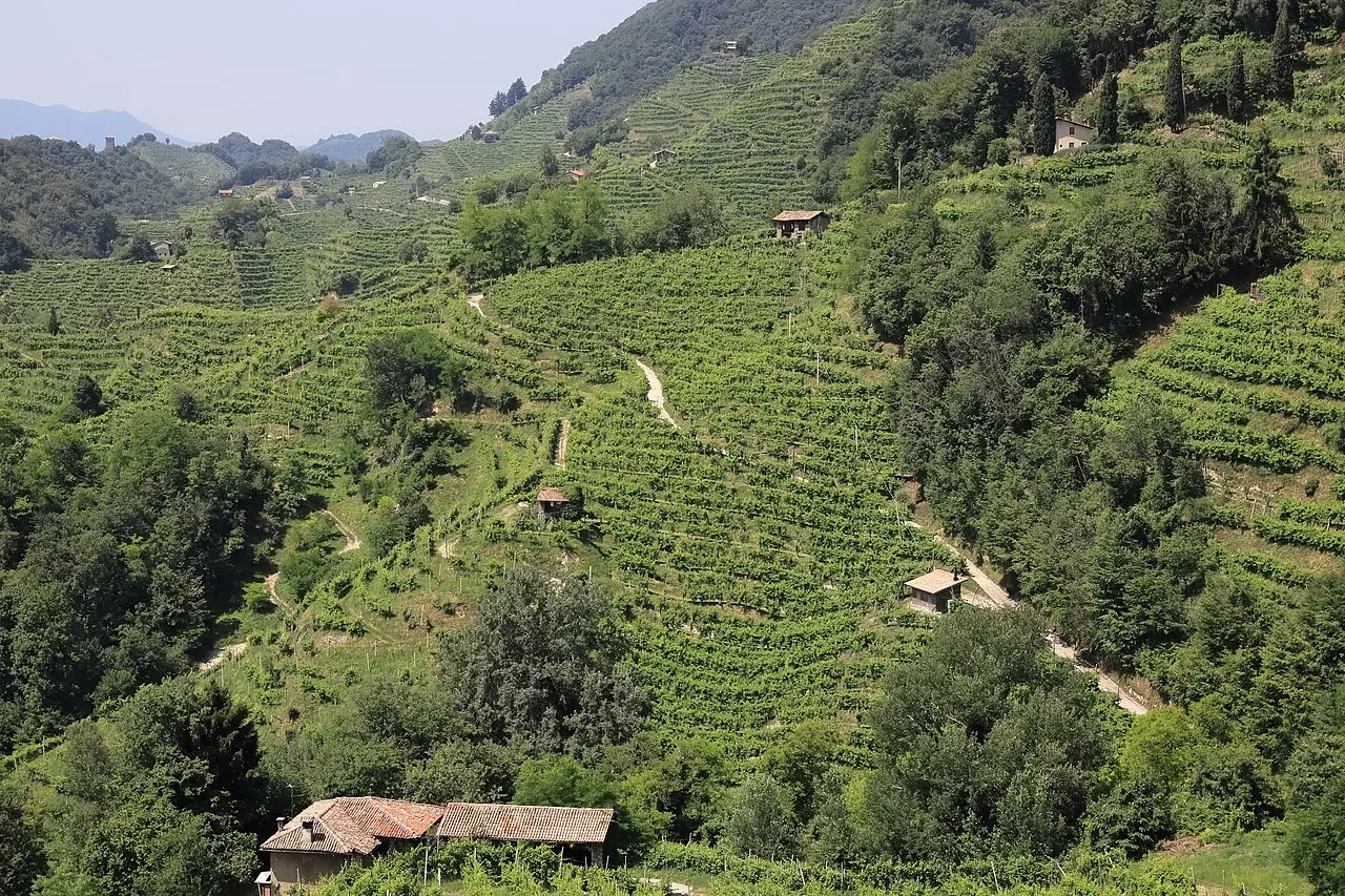 Encosta de vinhedos em socalcos entre bosques e pequenas casas de telhado de telha, nas colinas do Prosecco, perto de Farra di Soligo.
