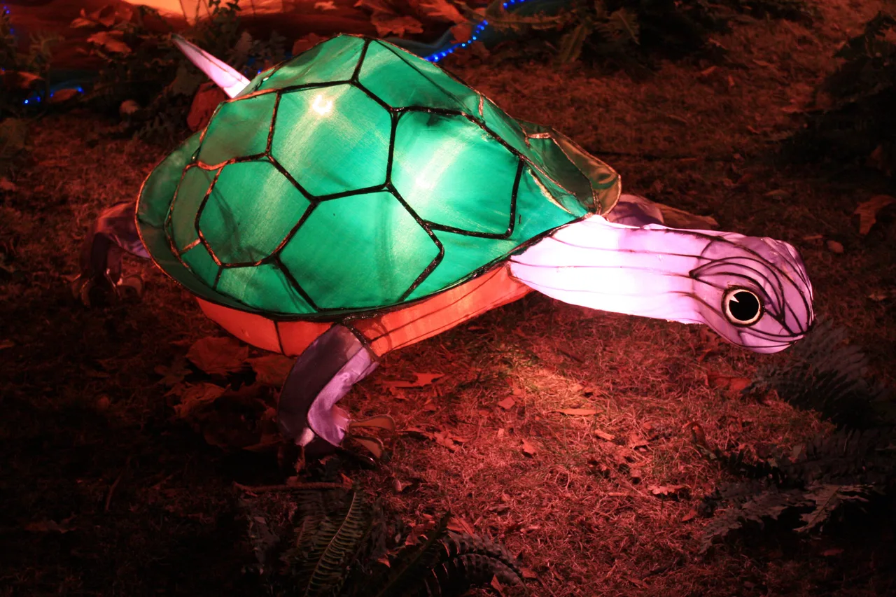 Lanterna de papel em forma de tartaruga, acesa em verde, no chão entre folhas, no Lantern Festival de Auckland.