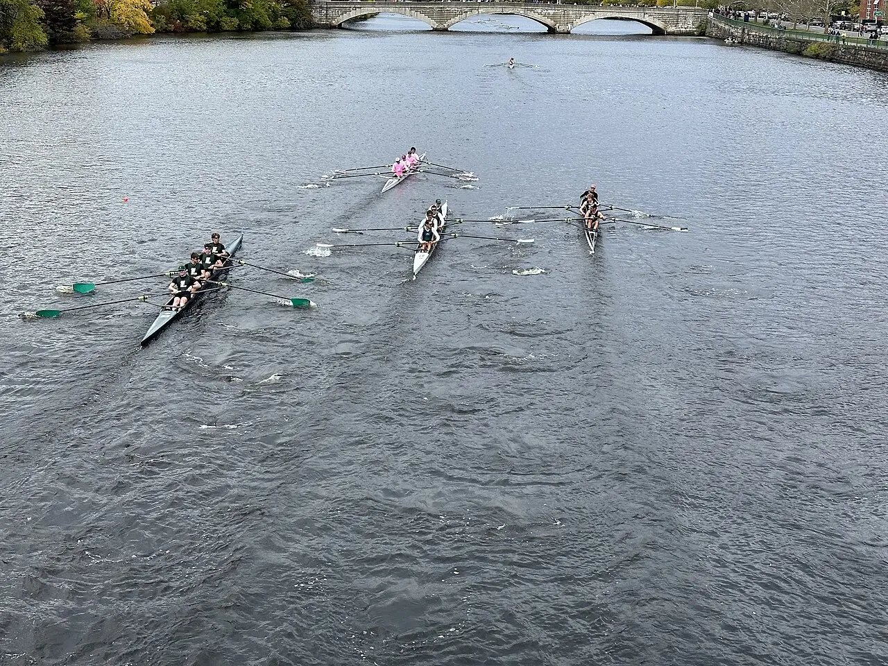 Barcos de remo em fila em um trecho largo do rio Charles, vistos do alto, durante a Head of the Charles Regatta de 2023.