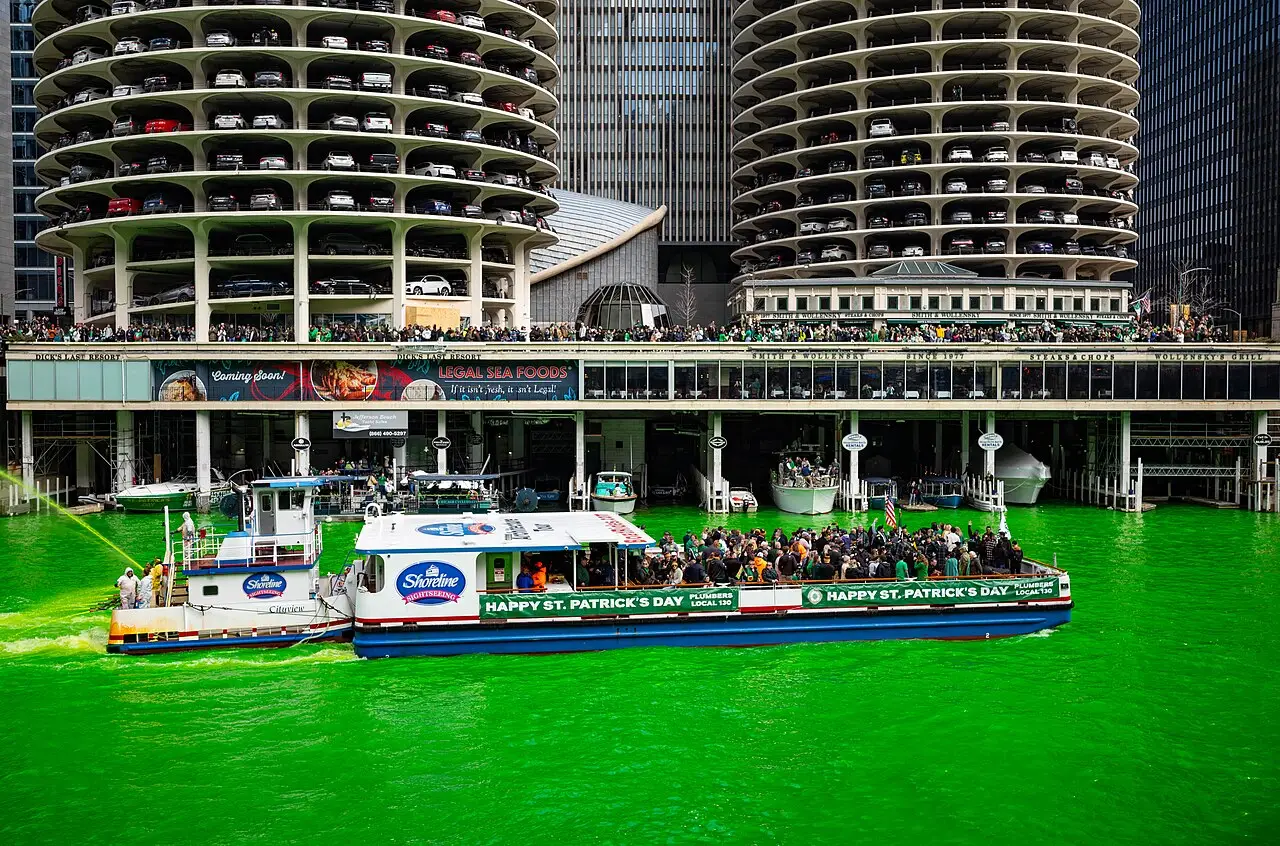 Un bateau de promenade sur la rivière Chicago teintée en vert vif, devant les tours rondes de Marina City, à la Saint-Patrick 2024.