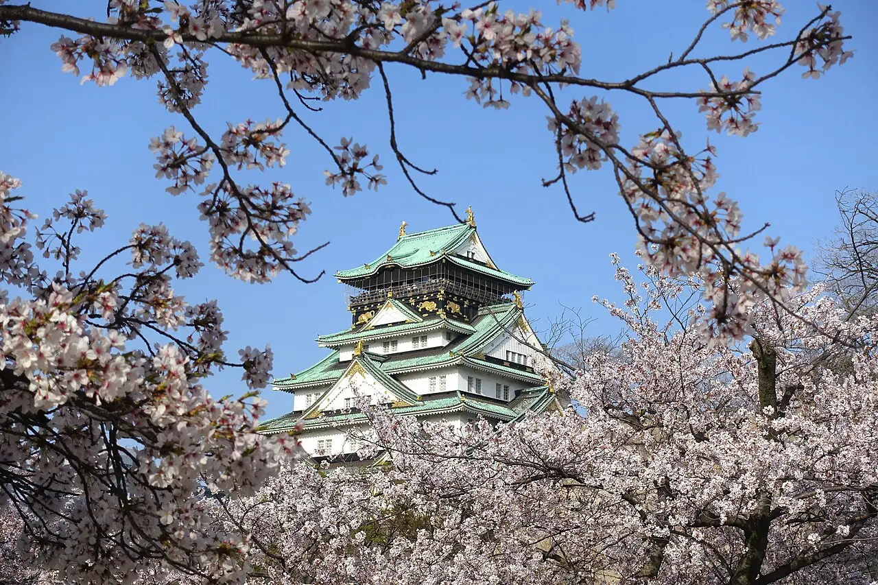 A torre do Castelo de Osaka, de telhado verde, aparece atrás de ramos de cerejeira rosa, sob céu azul.