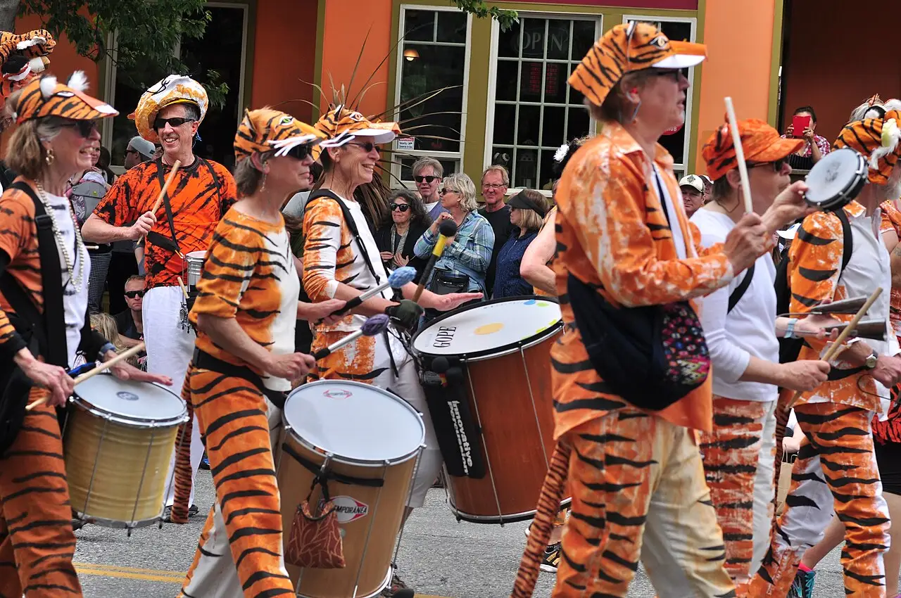 Des percussionnistes en costume de tigre orange marchent ensemble, et celui de devant, en casquette, joue du tambour.