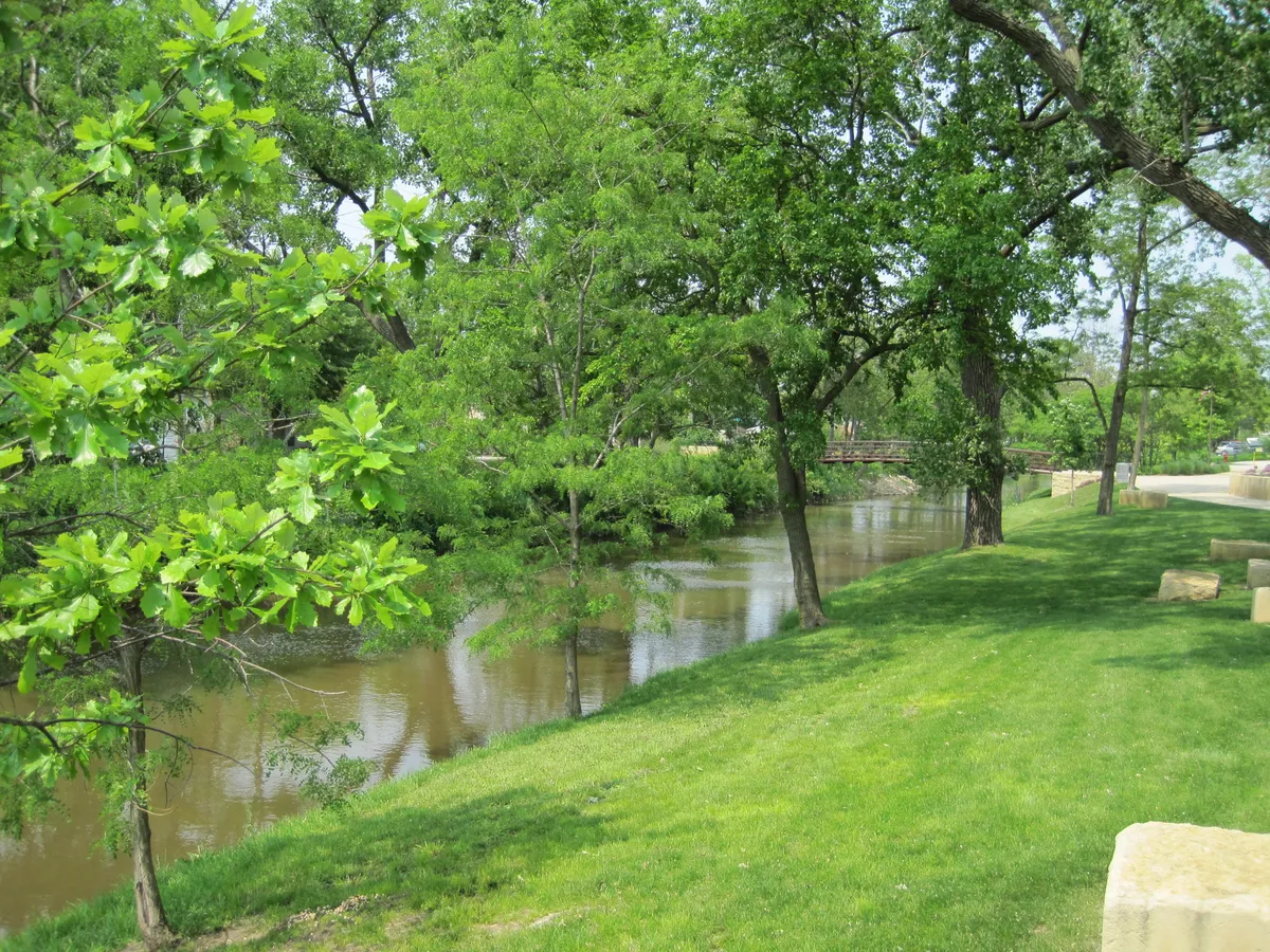 Canal estreito cercado por árvores e margens verdes, com pequena ponte ao fundo e rua visível à direita.