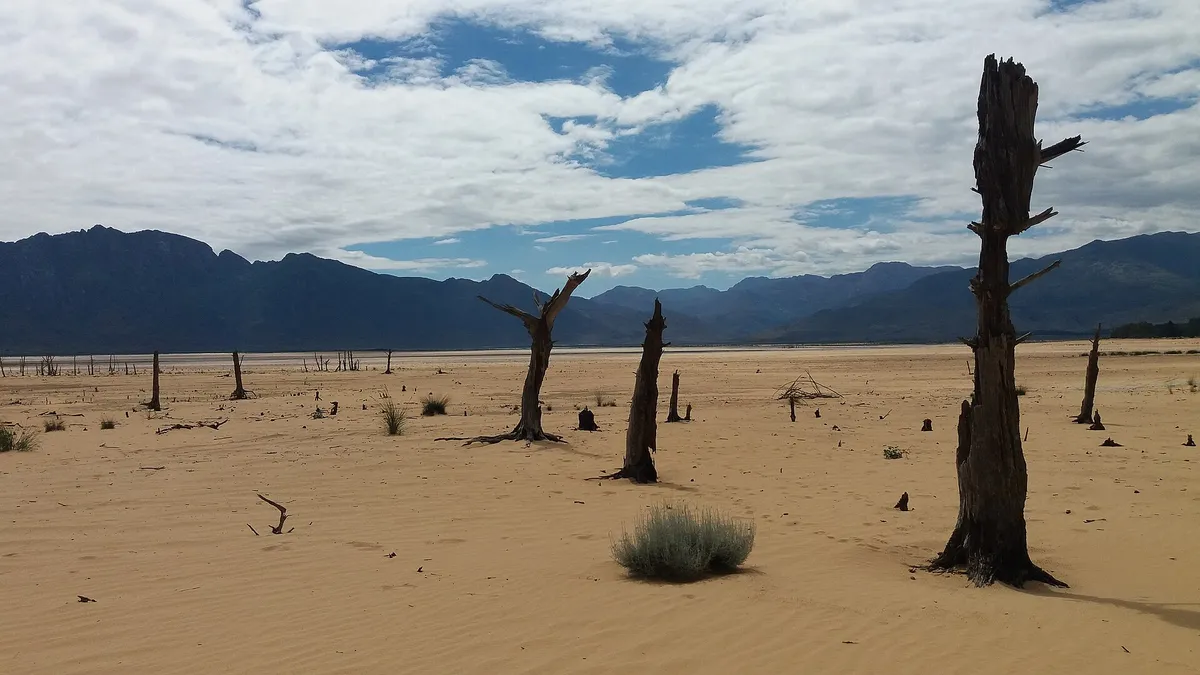 Troncos mortos sobre a areia de uma represa quase vazia, com montanhas ao fundo.