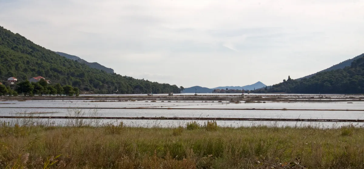 Vista ampla de tanques rasos de água separados por faixas e pequenos muros de pedra, vegetação baixa e colinas ao fundo.
