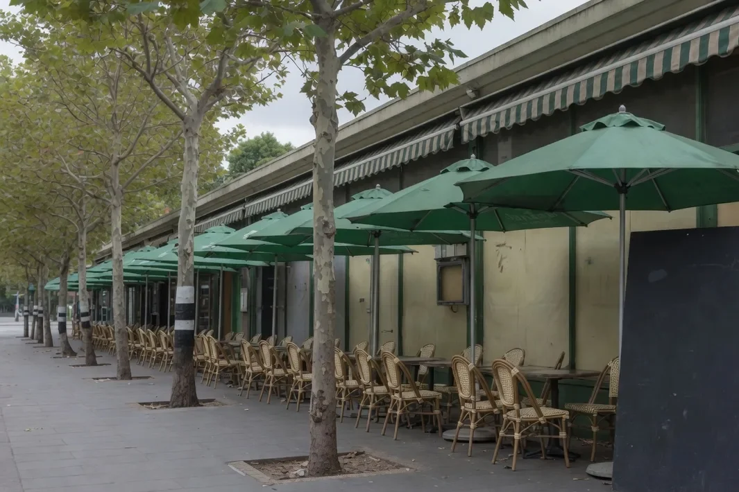 Green umbrellas over empty cane chairs on the sidewalk, under plane trees.