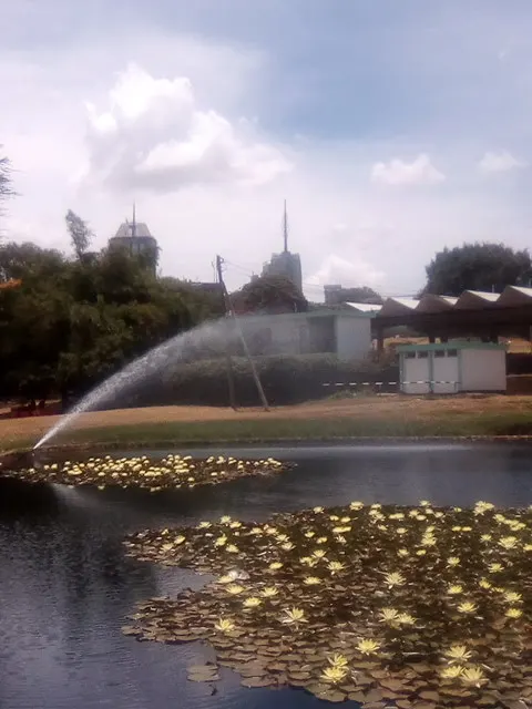 Um lago com nenúfares e um jato de água, entre árvores, com torres distantes e ninguém no quadro.