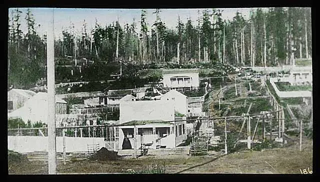 Des maisons de bois sur une pente déboisée, avec une voie entre les cours et la forêt au fond.
