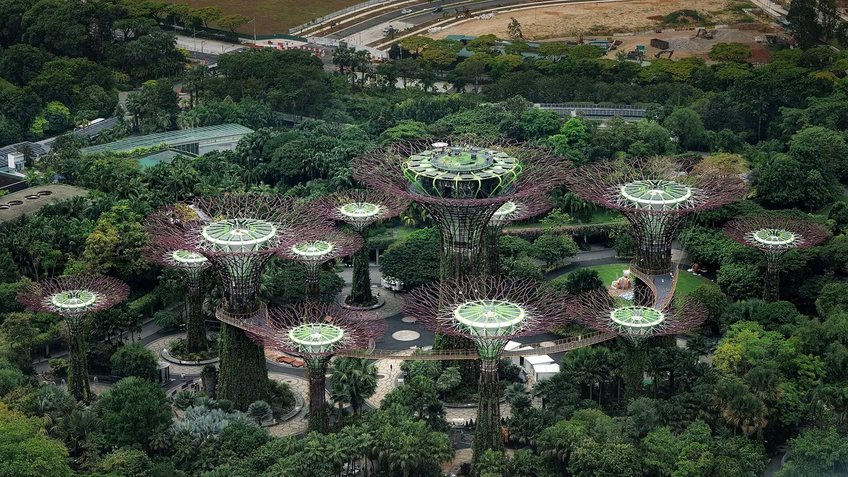 As superárvores dos Gardens by the Bay, com passarelas entre as copas.