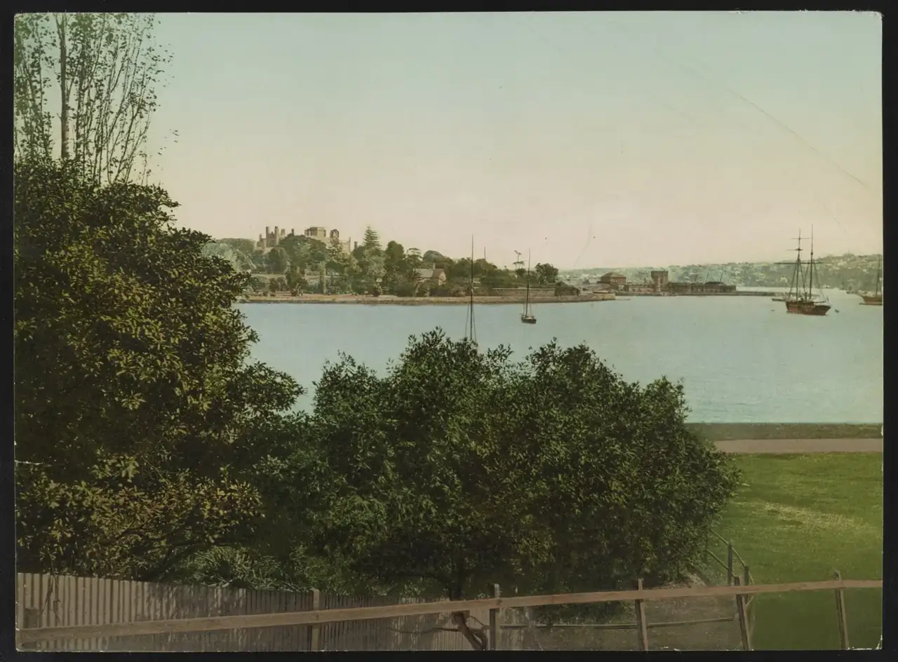 O porto de Sydney visto por entre árvores, com veleiros ancorados na água e construções na margem oposta ao fundo.