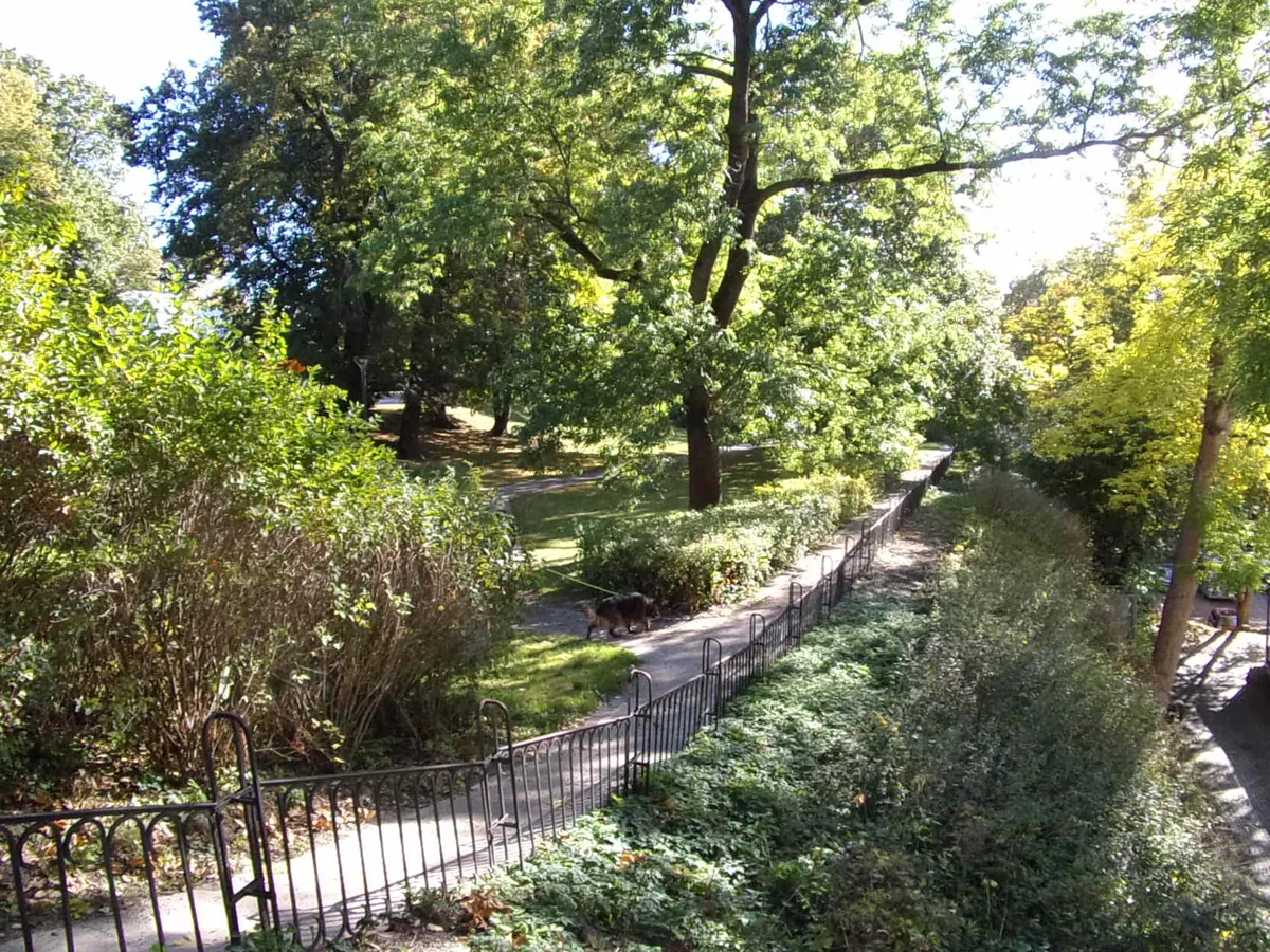 Parque arborizado com caminhos em níveis diferentes, cercas de ferro, arbustos e um cão sobre a trilha.