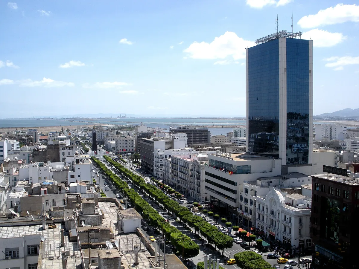 A avenida com duas fileiras de fícus, a torre do relógio e o lago ao fundo.