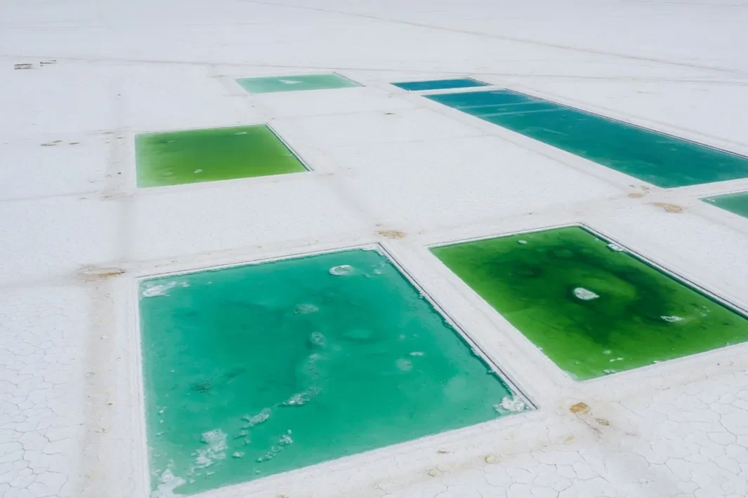 Piscinas retangulares verdes sobre o salar branco, vistas de cima.