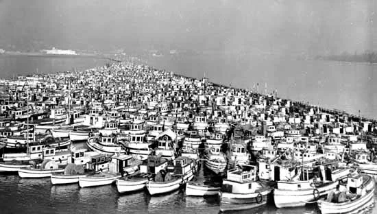 Fotografia em preto e branco de numerosos barcos de pesca amarrados lado a lado, com água e a margem distante ao fundo.