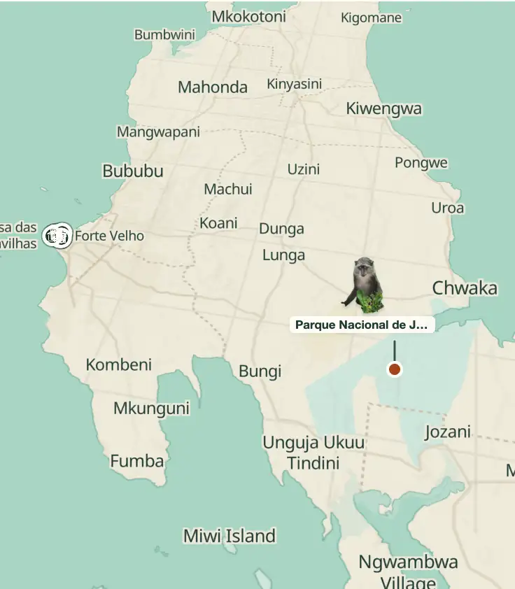 Explorar o mapa