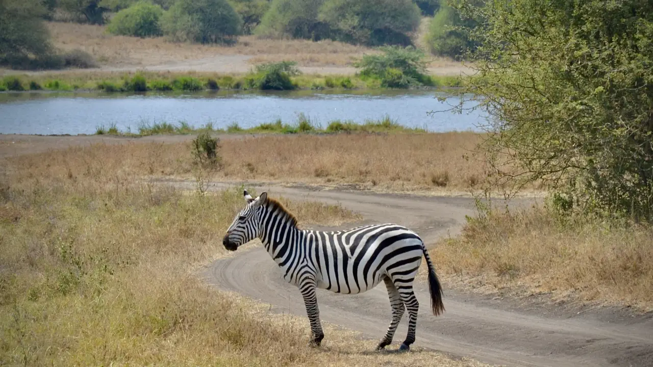 Parque Nacional de Nairóbi