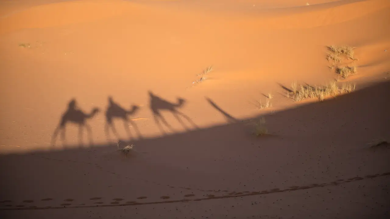 Erg Chebbi